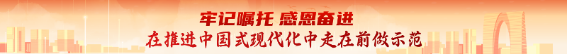 推動江蘇高質(zhì)量發(fā)展繼續(xù)走在前列的蘇州實踐